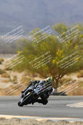 media/Apr-10-2022-SoCal Trackdays (Sun) [[f104b12566]]/Turn 5 Tree of Life (1040am)/